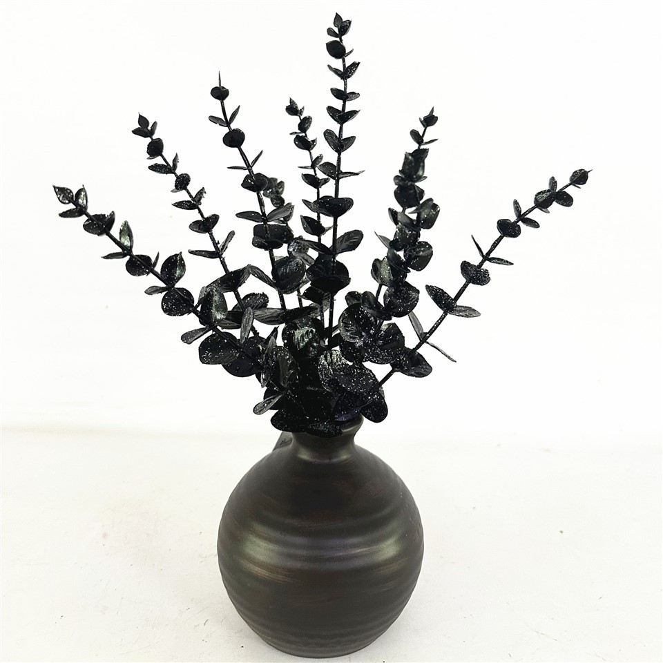 ساقه های اکالیپتوس سیاه